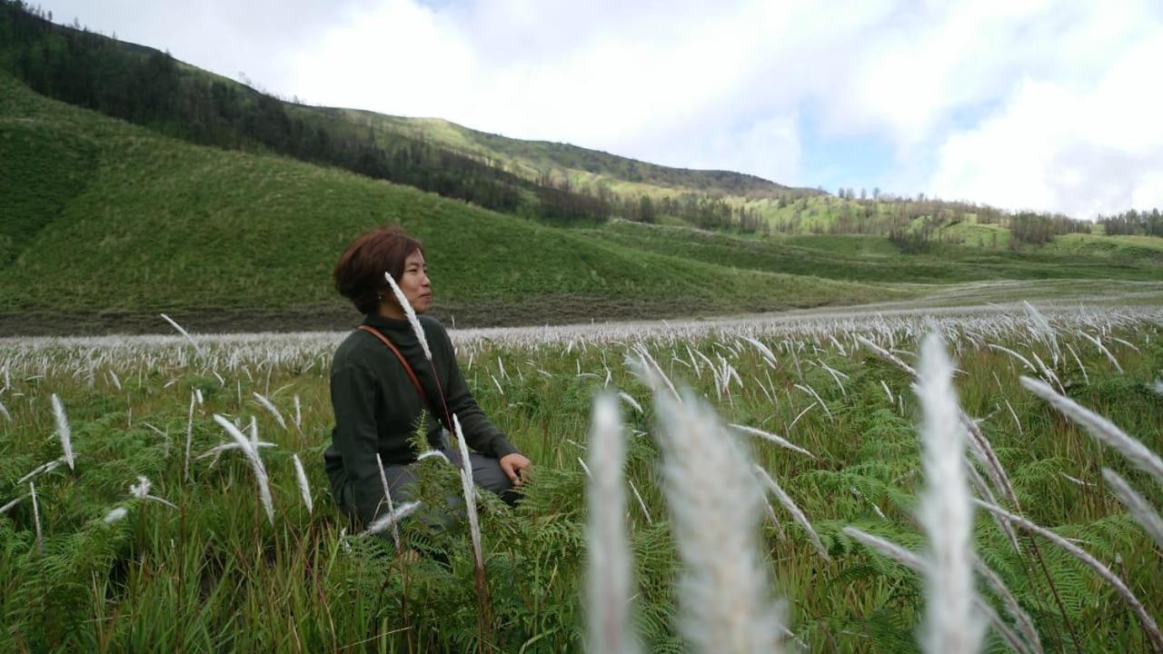 Budhis Home Bromo Buitenkant foto