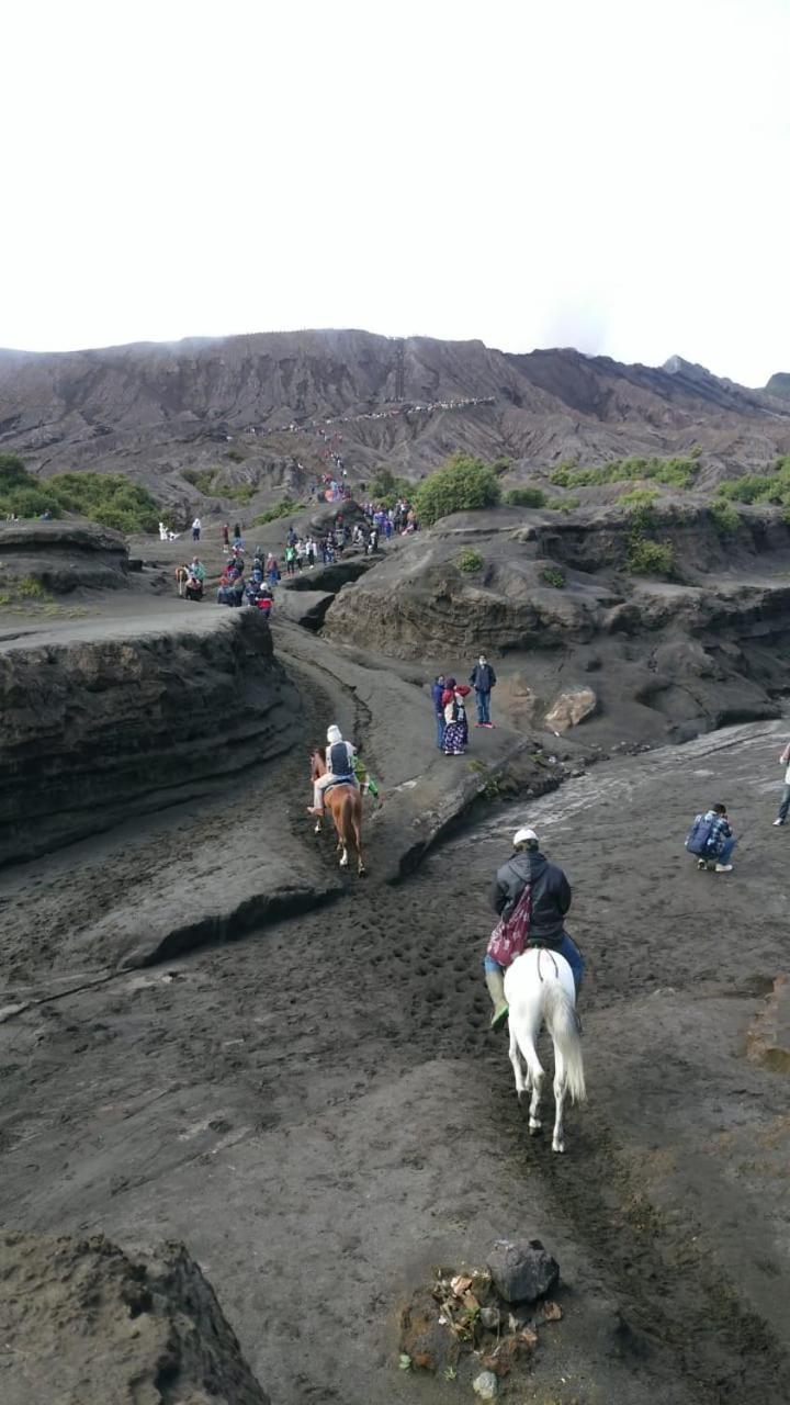 Budhis Home Bromo Buitenkant foto